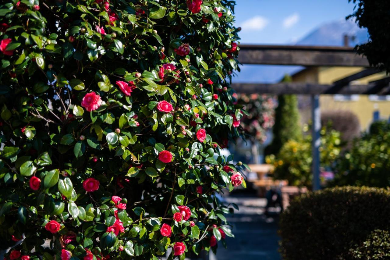Ascona Lodge, Pool & Garden Retreat エクステリア 写真